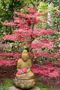 japanese-buddha-and-maple at Lotusland